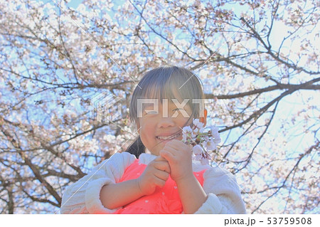 春 女の子 53759508