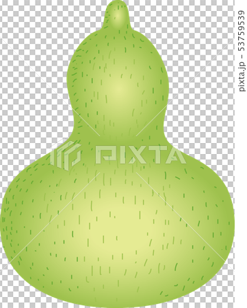 Gourd 53759539