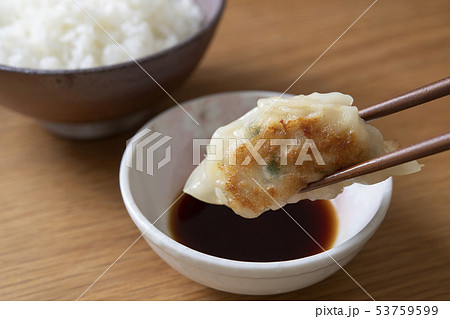 餃子とニンニク醤油 餃子とニンニク醤油 53759599
