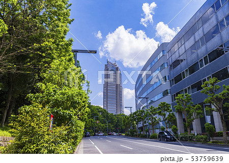新緑の西新宿 十二社通りの風景 新緑の西新宿 十二社通りの風景 53759639