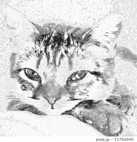 イラスト風 アート猫 水墨画タッチ みぃにゃん 子猫時代 のイラスト素材