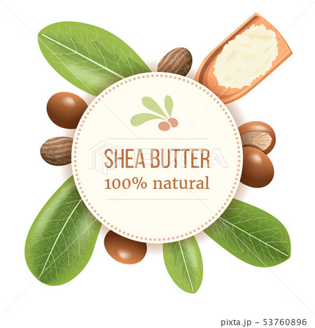 Ripe shea nuts and leaf Round Circle badge. shi 53760896