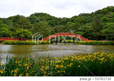 初夏の金沢称名寺史跡風景 53761716