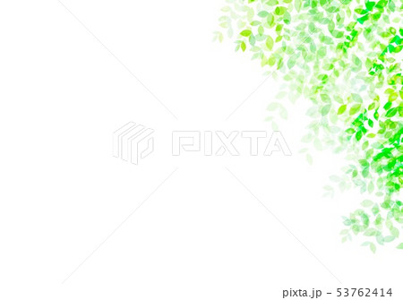 新緑イメージ背景初夏のイラスト素材