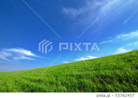 利根河原の風景 利根河原の風景 53762457