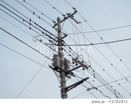 住宅地では電線・電柱などに鳥害防止が必要になることがあります 53762971