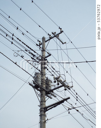 住宅地では電線・電柱などに鳥害防止が必要になることがあります 53762972