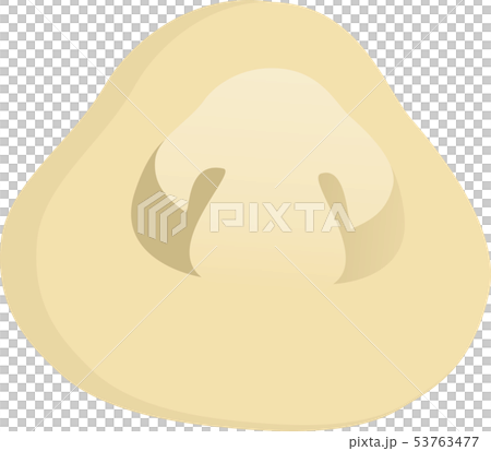 フクロタケ 53763477