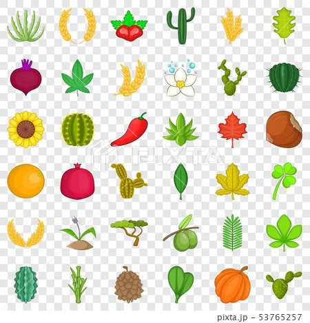 Botany icons set, cartoon style 53765257
