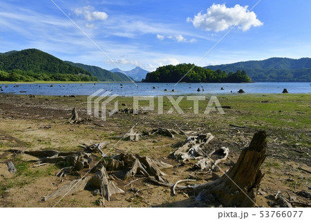 裏磐梯 檜原湖の水没林の根株と磐梯山 裏磐梯 檜原湖の水没林の根株と磐梯山 53766077