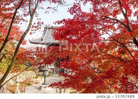 京都善峯寺 紅葉の名所 秋の京都 京都イメージ 京都善峯寺 紅葉の名所 秋の京都 京都イメージ 53767489