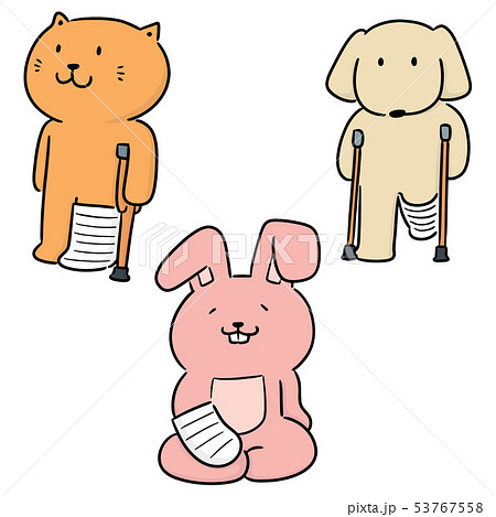 vector set of animal use orthopedic cast 53767558