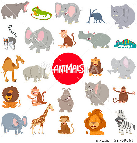 cartoon animal characters large set 53769069