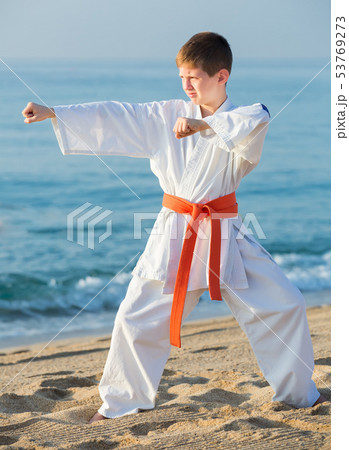 写真素材: boy demonstrates karate poses