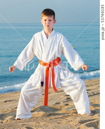 Boy doing karate poses 53769285