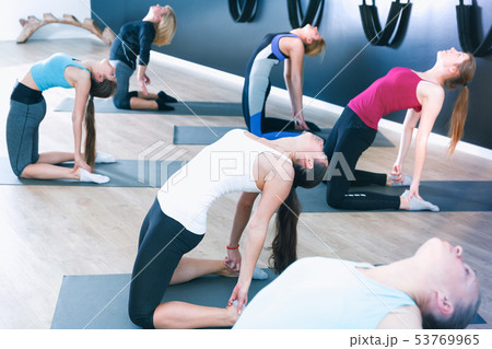 Females exercising during yoga class Females exercising during yoga class 53769965