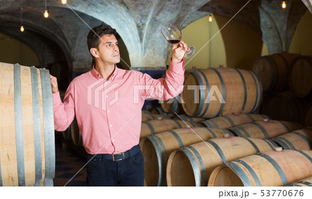 Man posing in winery cellar 53770676