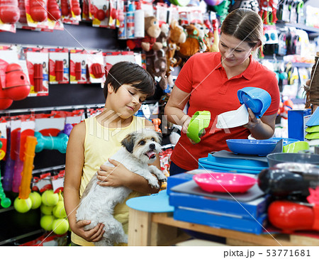 Family choosing dogs accessories Family choosing dogs accessories 53771681