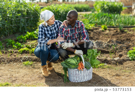 Joyful couple with a basket of vegetables in the garden Joyful couple with a basket of vegetables in the garden 53773153
