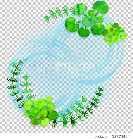 水草と波紋(まる) 水草と波紋(まる) 53773494