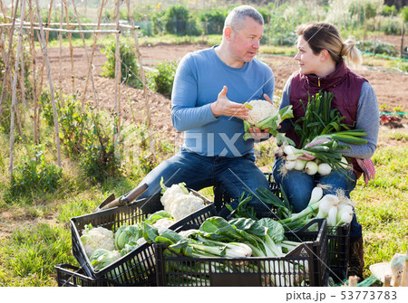Couple of professional gardeners standing with harvest of vegetables Couple of professional gardeners standing with harvest of vegetables 53773783