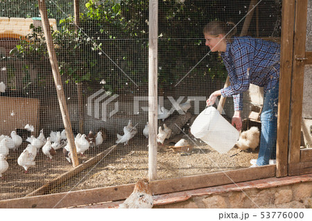 Woman feeding pigeons in aviary Woman feeding pigeons in aviary 53776000