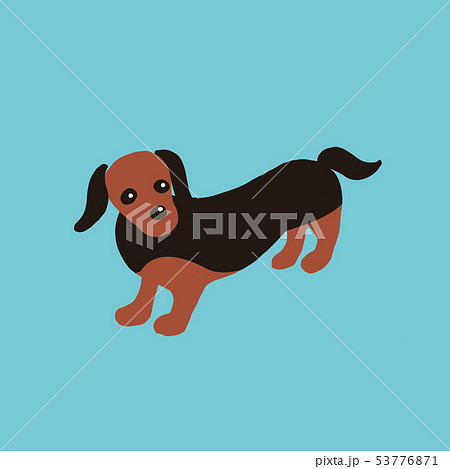 犬　ダックスフント　DOG　イラスト 53776871