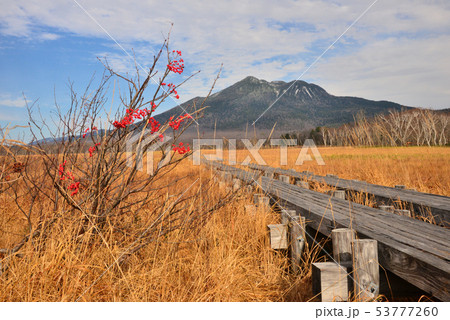 紅葉の尾瀬ヶ原と燧ケ岳 53777260