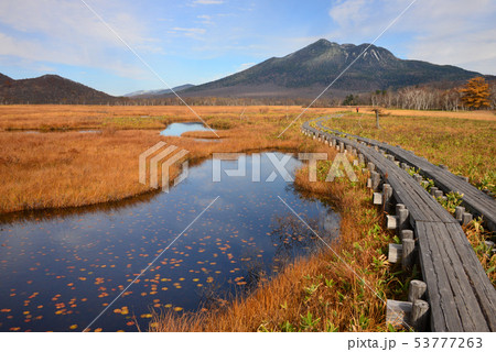 紅葉の尾瀬ヶ原と燧ケ岳 53777263