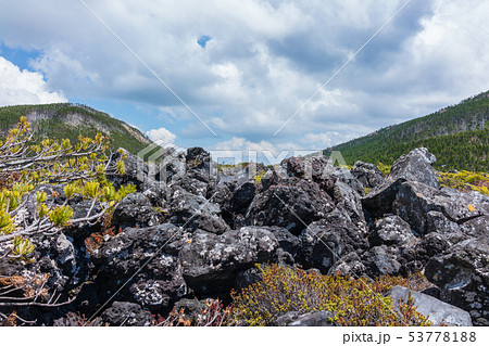 坪庭自然園:溶岩石 茅野市 坪庭自然園:溶岩石 茅野市 53778188