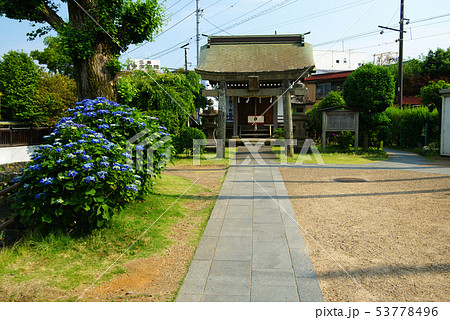 三島市 源兵衛川「三石神社」　 53778496