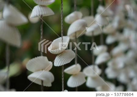 Mobile shells 53778604