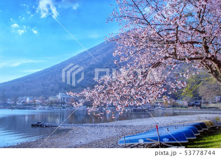 奥日光の遅い春 山桜咲く中禅寺湖 奥日光の遅い春 山桜咲く中禅寺湖 53778744
