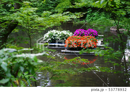 三島市立公園　楽寿園 53778932