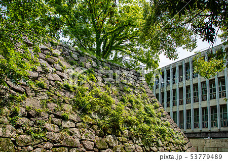 津城の天守台 高虎の石垣 53779489