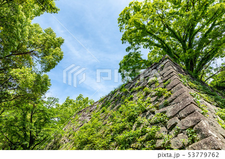 津城の天守台 高虎の石垣 津城の天守台 高虎の石垣 53779762