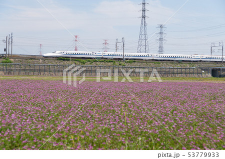 蓮華畑と東海道新幹線N700系 蓮華畑と東海道新幹線N700系 53779933