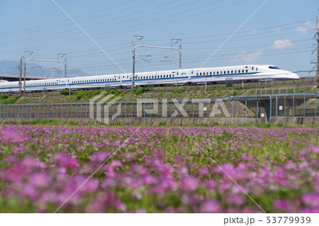 N700系と蓮華畑 N700系と蓮華畑 53779939