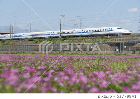東海道新幹線N700系とレンゲソウ 東海道新幹線N700系とレンゲソウ 53779941