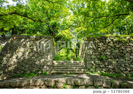 埋門跡 津城 53780366