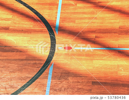 Floor-ball court. Painted wooden floor of sports 53780436