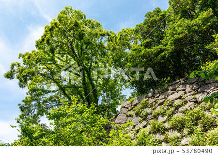 津城の天守台 高虎の石垣 53780490