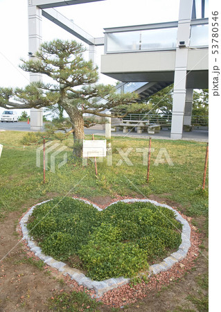 田原市蔵王山展望台ハート 田原市蔵王山展望台ハート 53780546