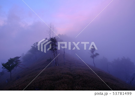 北大台の朝（奈良県吉野郡上北山村） 53781499