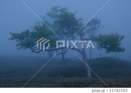 北大台の朝（奈良県吉野郡上北山村） 53781502