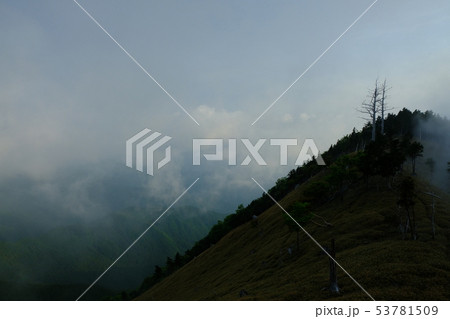 北大台の朝（奈良県吉野郡上北山村） 53781509