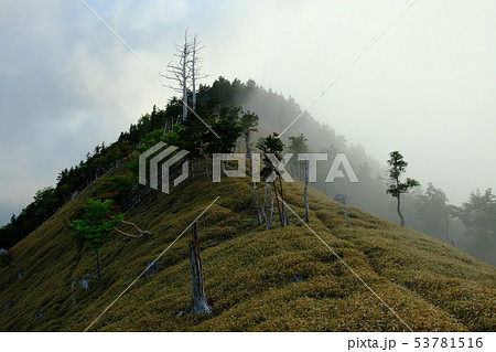 北大台の朝（奈良県吉野郡上北山村） 53781516
