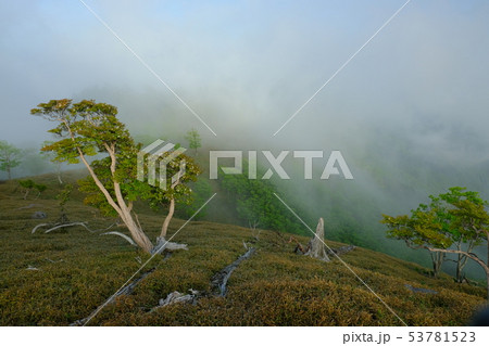 北大台の朝（奈良県吉野郡上北山村） 53781523