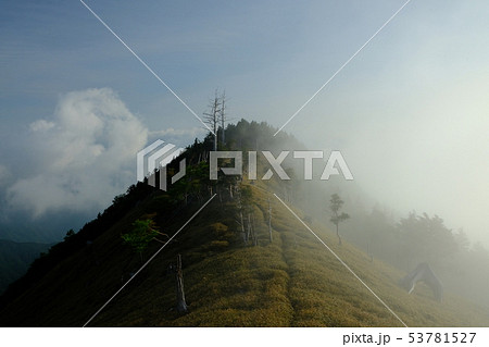 北大台の朝(奈良県吉野郡上北山村) 北大台の朝(奈良県吉野郡上北山村) 53781527