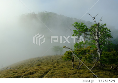 北大台の朝（奈良県吉野郡上北山村） 53781529